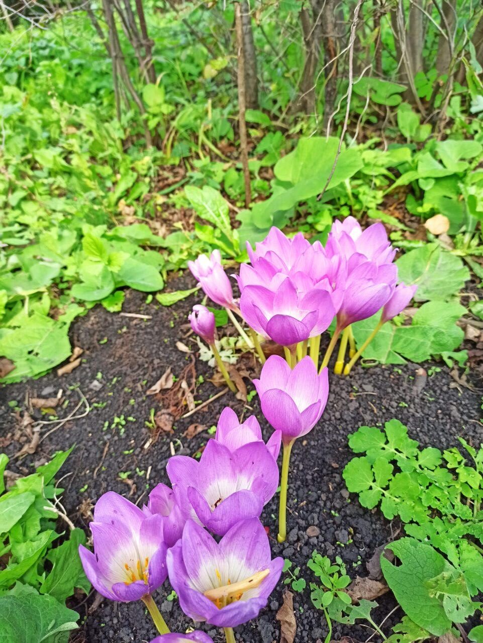 Переменчивость сентября